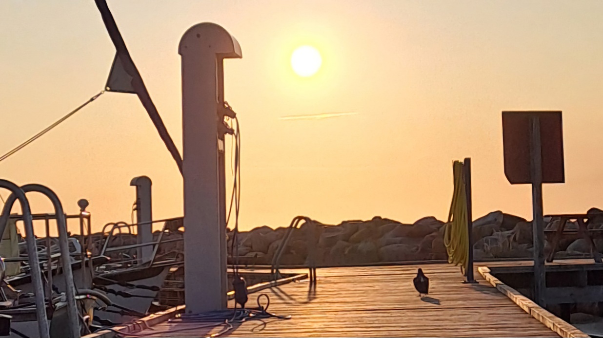 Read more about the article #014 Erstmal weiter in den Norden auf der ⛵RONDÉE ATLANTIQUE😉