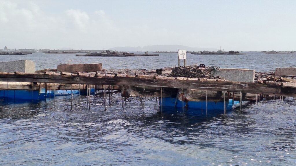 027_kursgerecht?-aufstoppen_Ría-Arousa-Muschelinseln