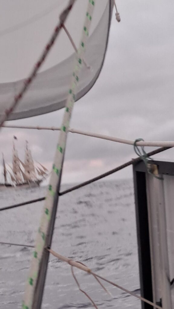 036_Pustekuchen_Traditionssegler ⛵RONDÉE ATLANTIQUE😉