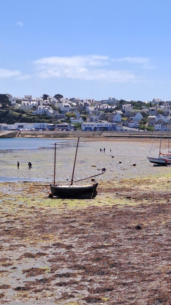 021_Nordsee_Niedrigwasser_Unterwasserlandschaft Nordsee Spezial auf der ⛵RONDÉE ATLANTIQUE😉