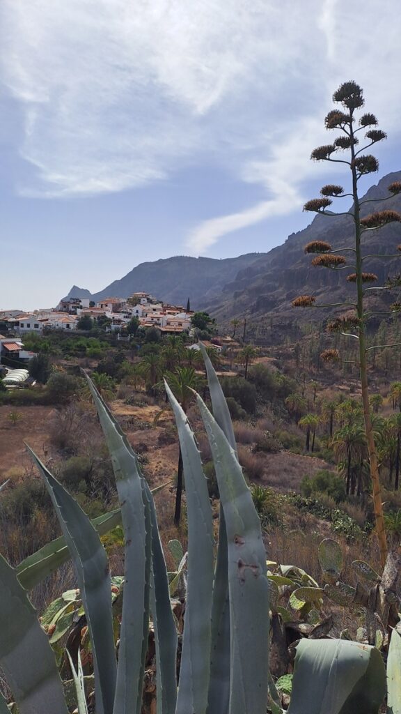 038_kontrastreiche-Kanaren_Fataga ⛵RONDÉE ATLANTIQUE😉