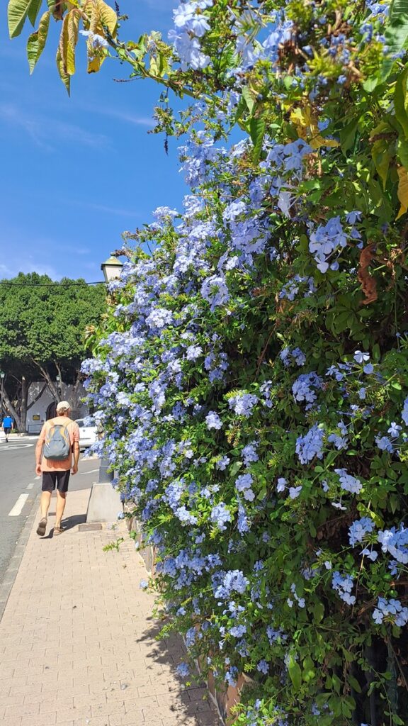038_kontrastreiche-Kanaren_Fataga-Blau ⛵RONDÉE ATLANTIQUE😉