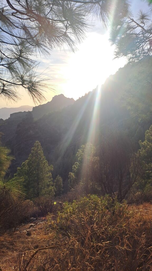 038_kontrastreiche-Kanaren_Roque-Nublo ⛵RONDÉE ATLANTIQUE😉