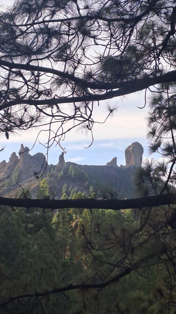 038_kontrastreiche-Kanaren_Roque-Nublo_Blick ⛵RONDÉE ATLANTIQUE😉