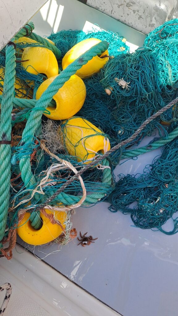 040_La-Gomera-Fischernetz-Krabben Düse & Fang