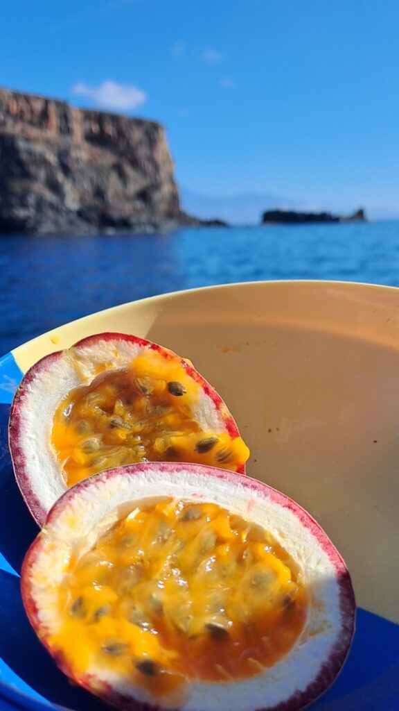 043_Erstes-Viertel-Ost-West_Maracuja