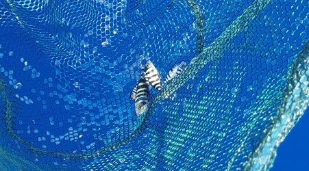 Read more about the article #040 Düse & Fang 🎣🎣🎣auf der ⛵RONDÉE ATLANTIQUE😉