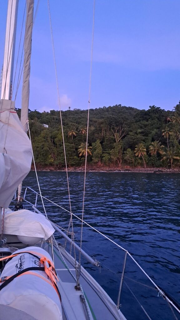 047_bunte-Karibik-hautnah_Maran-Bay-Palmen