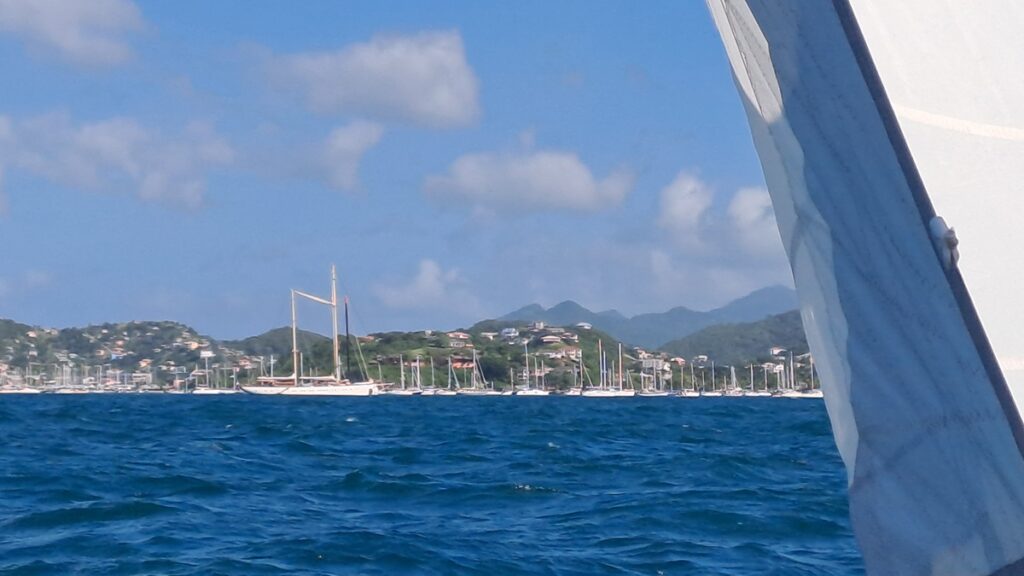 047_bunte-Karibik-hautnah_Prickly-Bay-Mastenwald