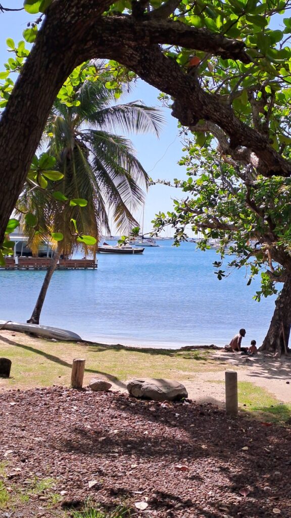 047_bunte-Karibik-hautnah_Prickly-Bay-Strand