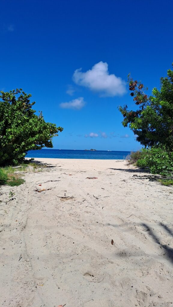 049_Fluch-ten-der-Karibik_Strand-Baum-Flucht Fluch ten der Karibik