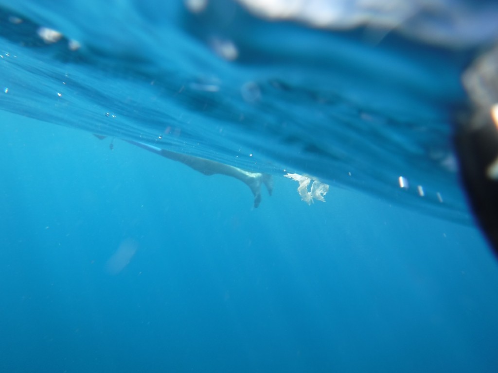 #051_Unterwasser_Lichtspiele