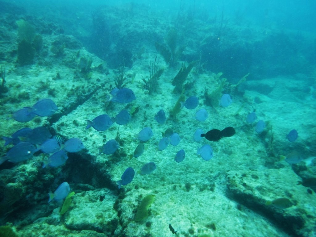 #051_Unterwasser