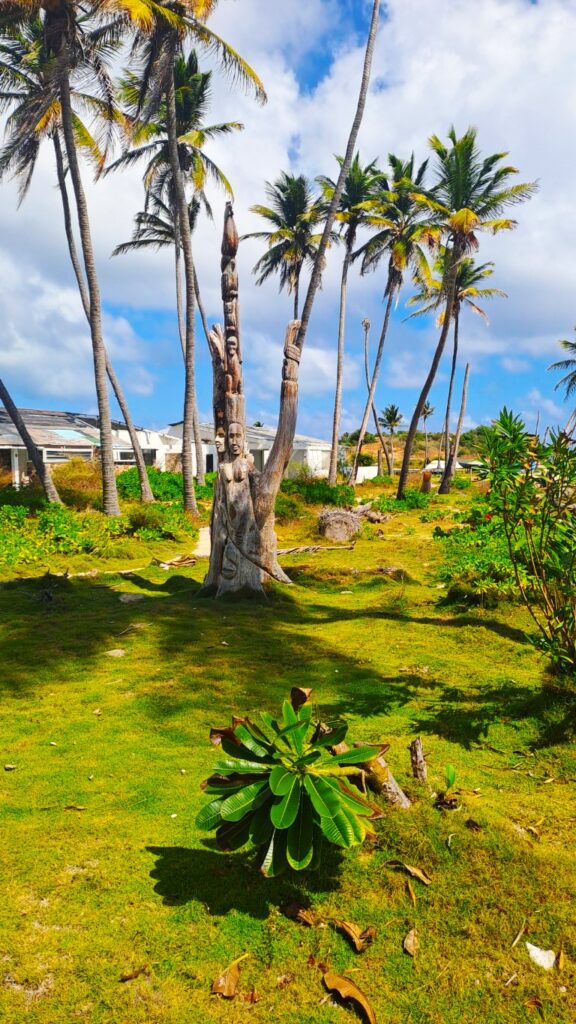 #052_Union-Island_260108_130221_kontrast Union Island