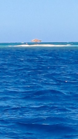 50_Postkarten-Karibikinseln_Mopion-von-See Postkarten Karibikinseln