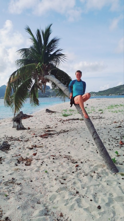 50_Postkarten-Karibikinseln_Palm_sitzen Postkarten Karibikinseln