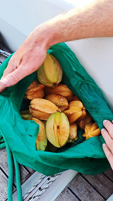 #053_Sparrow-Bay-Bogles_FiveFingers_Sternfrucht