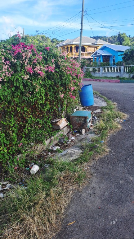 #053_Sparrow-Bay-Bogles_Müll