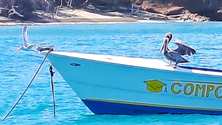 Read more about the article #053 Sparrow Bay – Bogles auf der ⛵RONDÉE ATLANTIQUE😉