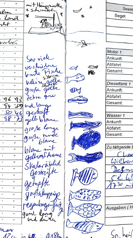 #055_Canouan_Little-Bay_Fische Canouan - Schildkröten