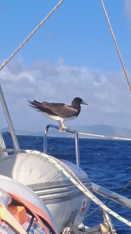 Bequia – Erster Eindruck