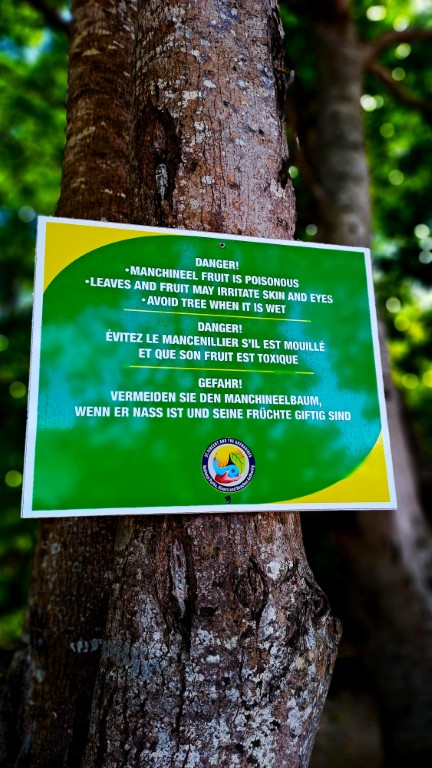 Bequia – Erster Eindruck