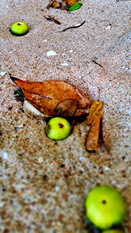 Bequia – Erster Eindruck