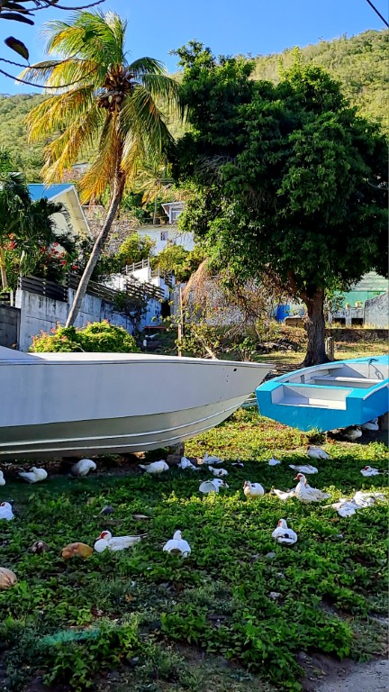 Bequia – Erster Eindruck