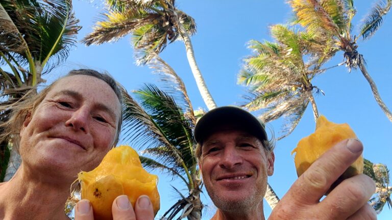 Read more about the article #058 Mango und Kokosnuss auf der ⛵RONDÉE ATLANTIQUE😉