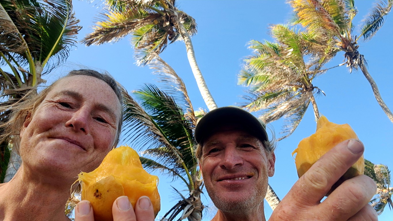 Read more about the article #058 Mango und Kokosnuss auf der ⛵RONDÉE ATLANTIQUE😉