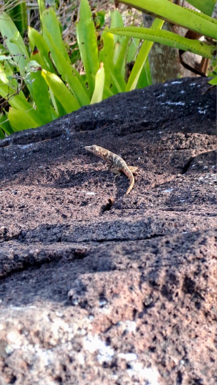 #059_Arbeit-Reparaturen_Observation Arbeit und Reparaturen