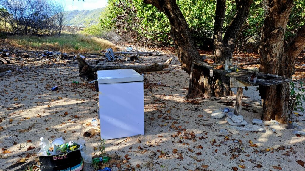 #060_Drei-einsame-Inseln_RONDÉE-ATLANTIQUE Drei einsame Inseln Petite Nevis Anlanden Unrat (Mittel)