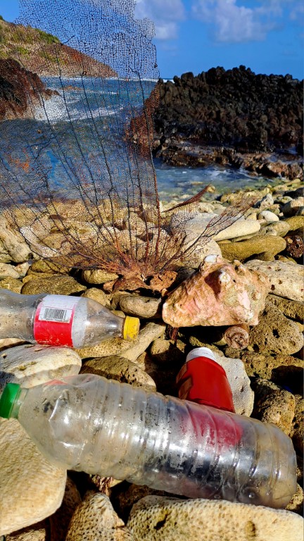 #060_Drei-einsame-Inseln_RONDÉE-ATLANTIQUE Drei einsame Inseln Petite Nevis Anlanden Unrat1 (Mittel)