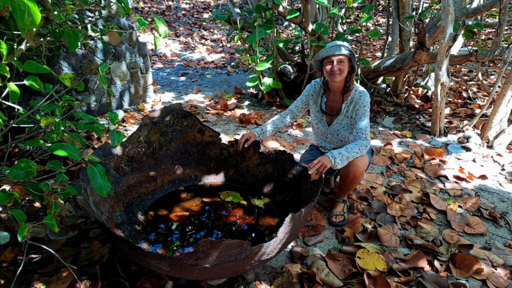 #060_Drei-einsame-Inseln_RONDÉE-ATLANTIQUE Drei einsame Inseln Petite Nevis Anlanden Walfängerinsel (Mittel)