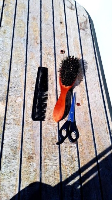 #061_Isle-a-Quatre_RONDÉE-ATLANTIQUE Isle a Quatre 20260203_141650 (Mittel)_zoom