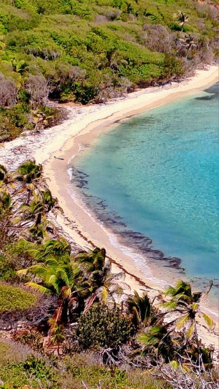 #061_Isle-a-Quatre_RONDÉE-ATLANTIQUE Isle a Quatre 20260204_131025 (Mittel)