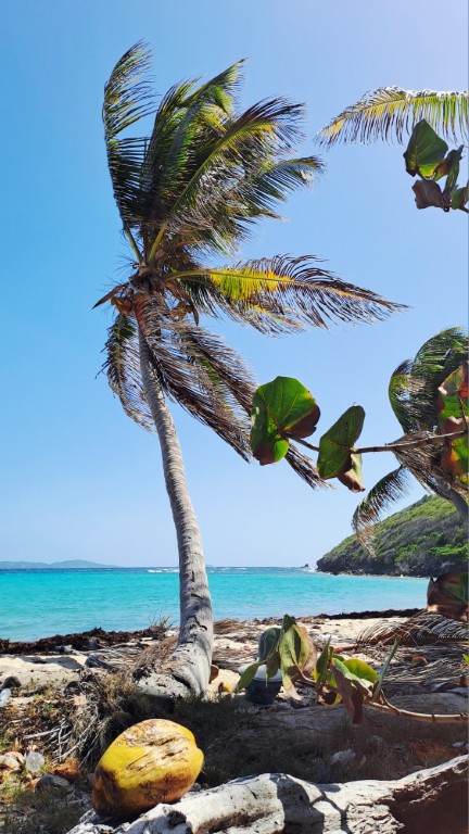 #061_Isle-a-Quatre_RONDÉE-ATLANTIQUE Isle a Quatre 20260204_134019 (Mittel)