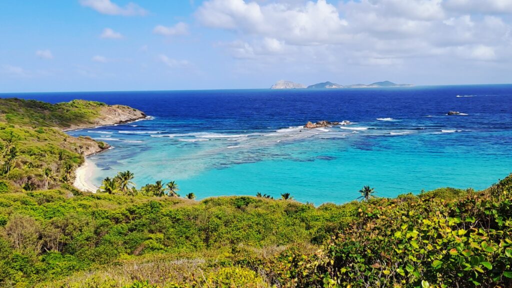 #061_Isle-a-Quatre_RONDÉE-ATLANTIQUE Isle a Quatre 20260204_145800 (Mittel)