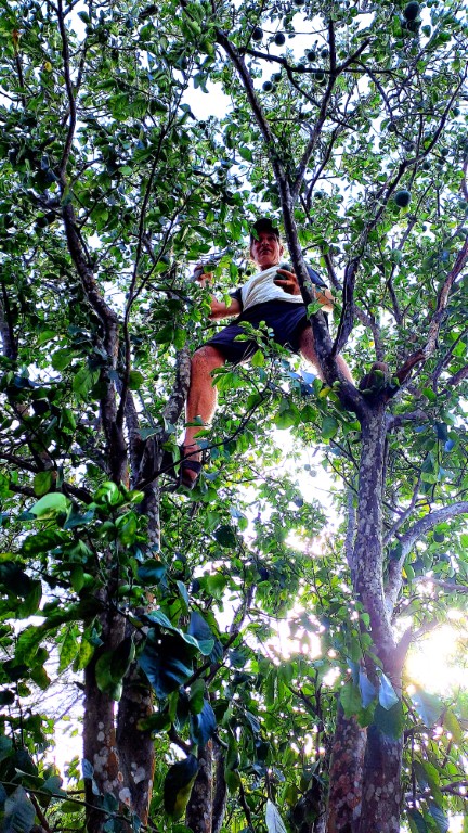 #061_Isle-a-Quatre_RONDÉE-ATLANTIQUE Isle a Quatre 20260204_152624_ (Mittel)