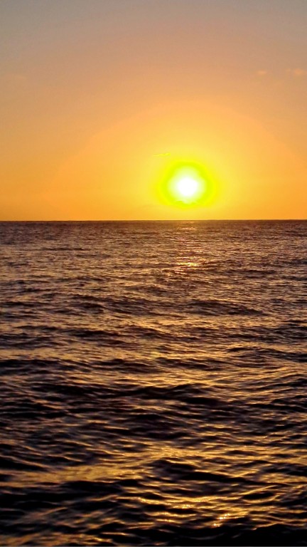 #062_Baliceaux_RONDÉE-ATLANTIQUE Baliceaux