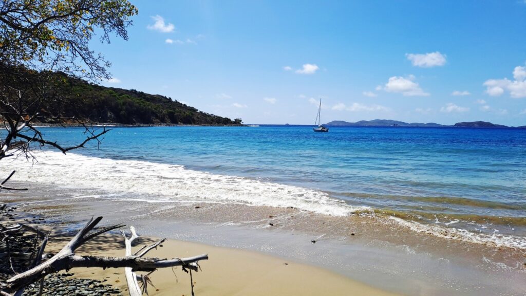 #062_Baliceaux_RONDÉE-ATLANTIQUE Baliceaux 20260206_114835_ (Mittel)