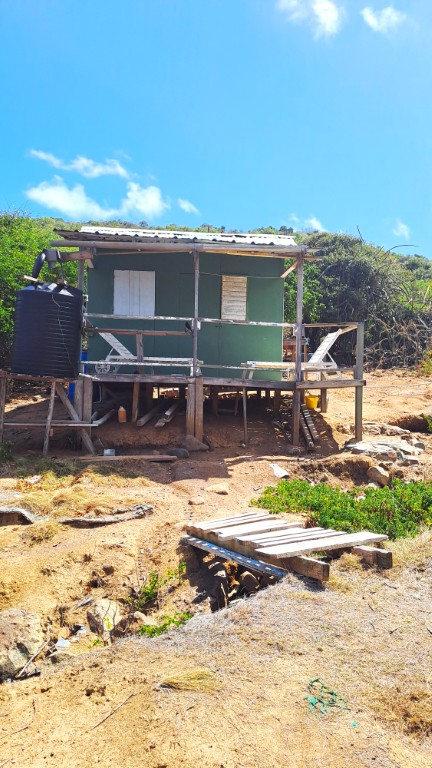 #062_Baliceaux_RONDÉE-ATLANTIQUE Baliceaux