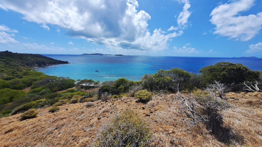 #062_Baliceaux_RONDÉE-ATLANTIQUE Baliceaux