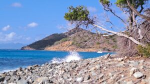 #062_Baliceaux_RONDÉE-ATLANTIQUE Baliceaux