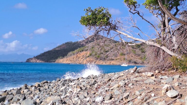 Read more about the article #062 Baliceaux auf der ⛵RONDÉE ATLANTIQUE😉