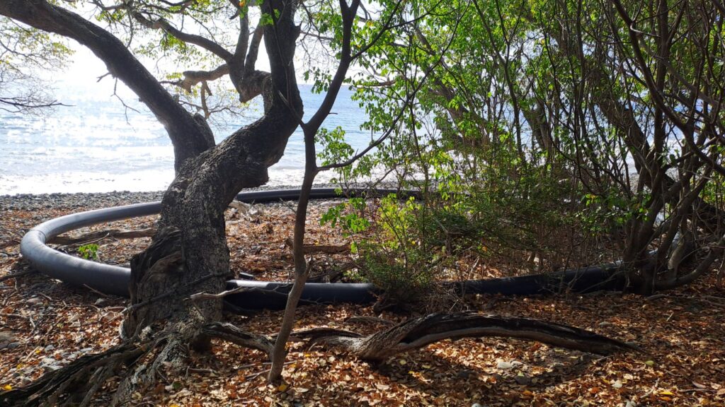 #062_Baliceaux_RONDÉE-ATLANTIQUE Baliceaux