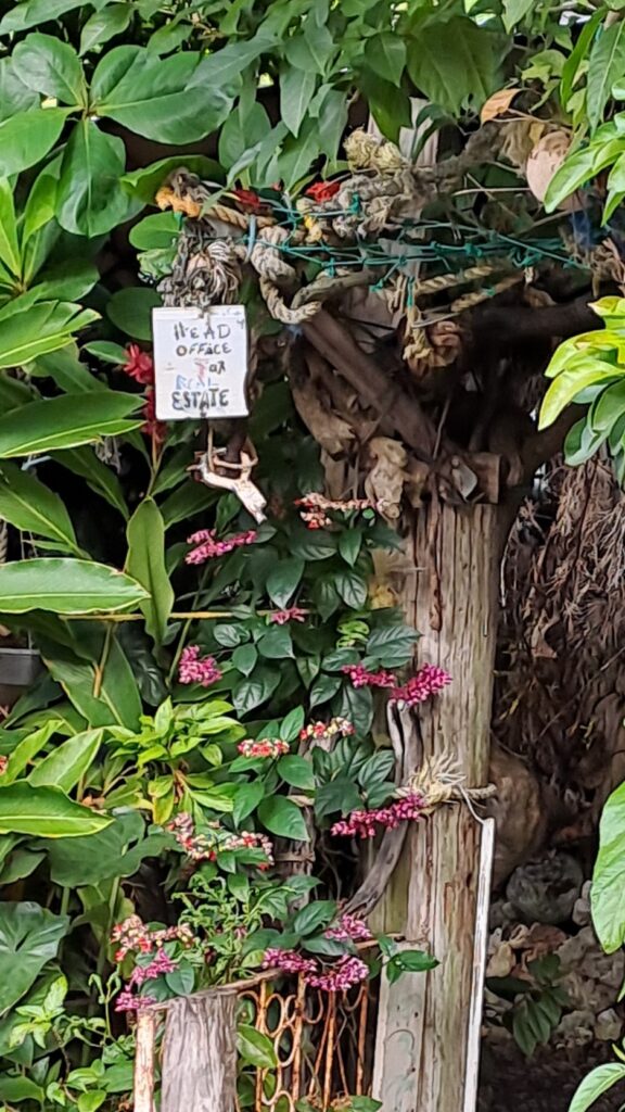 #074 verrückt & bunt auf Dominica RONDÉE ATLANTIQUE
