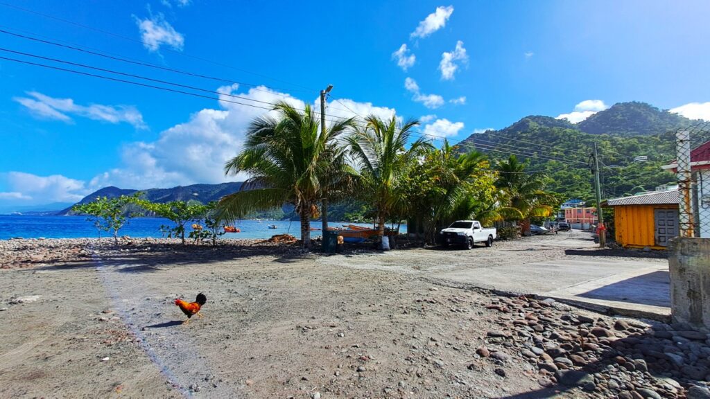 #074 verrückt & bunt auf Dominica RONDÉE ATLANTIQUE
