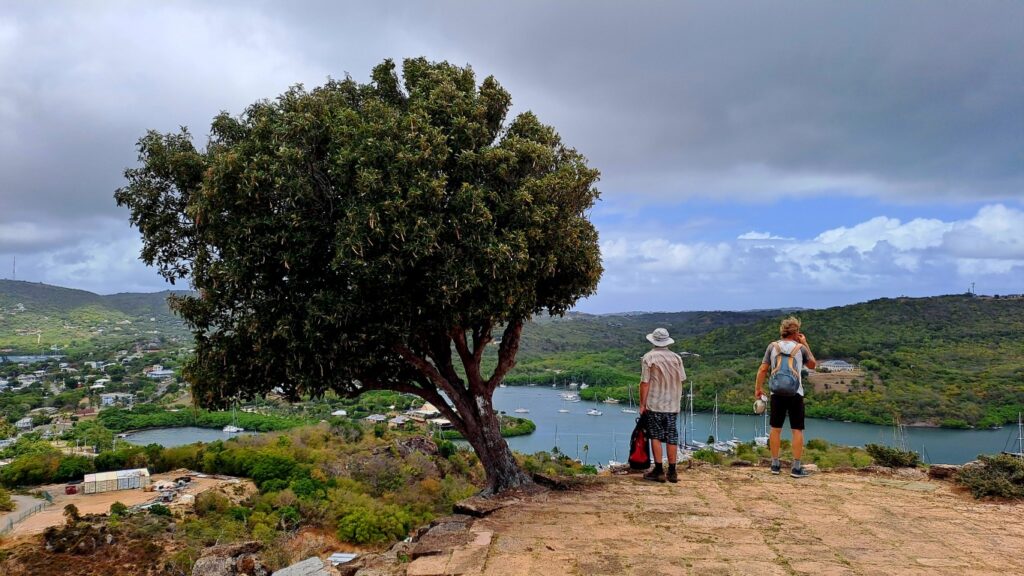 #080 Walsichtung & Luxus auf Antigua RONDÉE ATLANTIQUE
