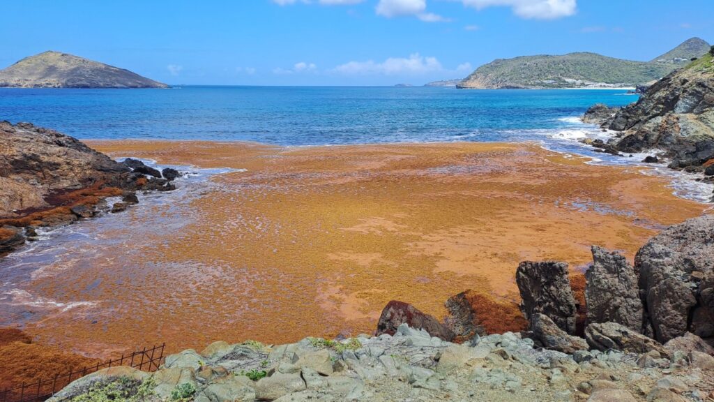 #082 Per Anhalter über Saint-Barthélemy RONDÉE ATLANTIQUE